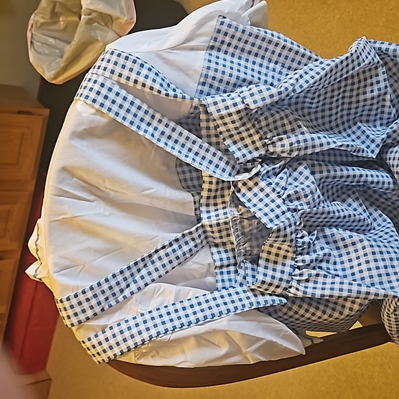 Dorothy dress from wizard of oz. - Picture 2 of 2
